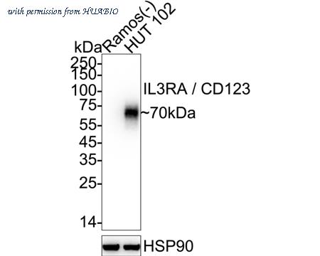 HUABIO HA723076 image 1