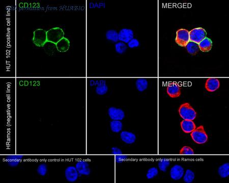HUABIO HA723076 image 2