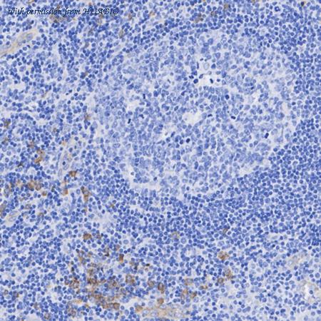 HUABIO HA723076 image 3