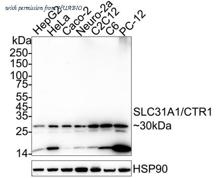 HUABIO HA723132 image 1