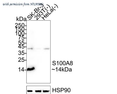 HUABIO HA723135 image 1