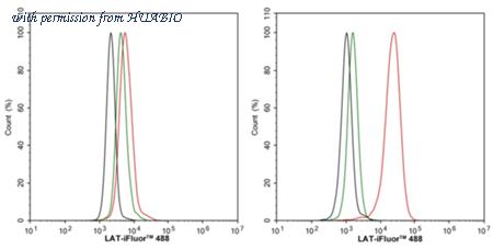 HUABIO HA723141 image 3