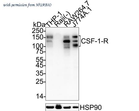 HUABIO HA723142 image 1