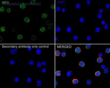 HUABIO HA723174 image 3