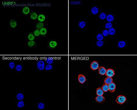 HUABIO HA723228 image 3