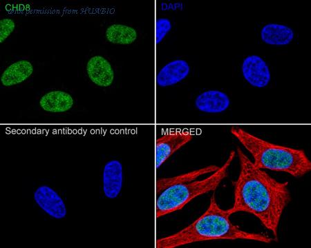 HUABIO HA723367 image 2