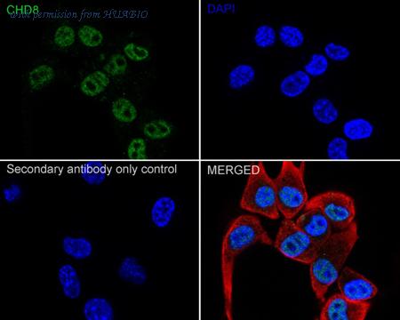 HUABIO HA723367 image 3