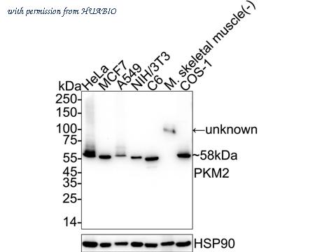 HUABIO HA723370 image 1