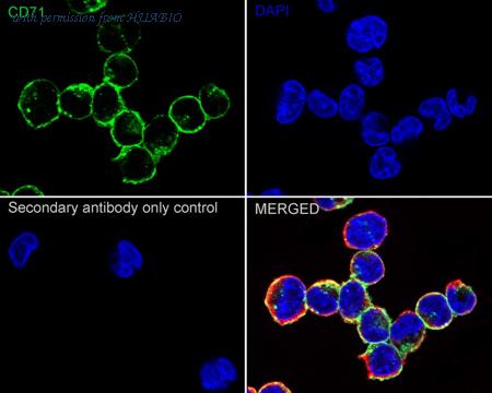 HUABIO HA723545 image 2