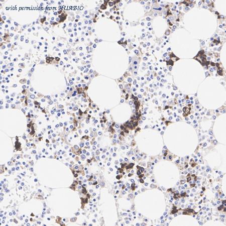 HUABIO HA723545 image 3