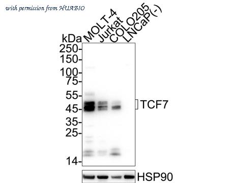 HUABIO HA723582 image 1