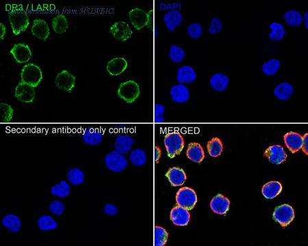 HUABIO HA723583 image 2