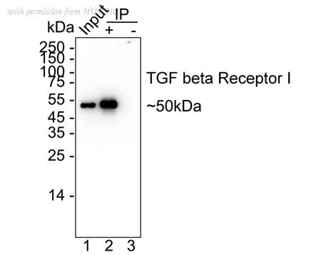 HUABIO HA723604 image 2