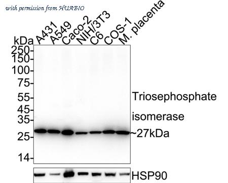 HUABIO HA723632 image 1