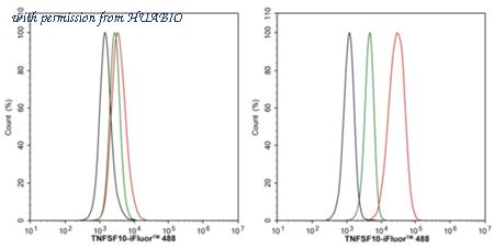 HUABIO HA723634 image 2