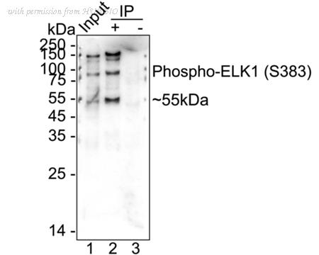 HUABIO HA723663 image 3