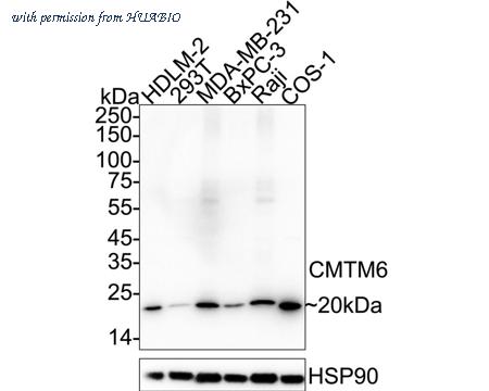 HUABIO HA723702 image 1