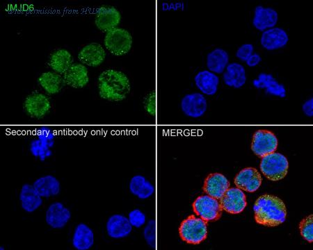 HUABIO HA723703 image 3