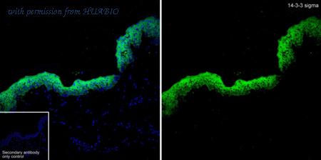 HUABIO HA723707F image 1