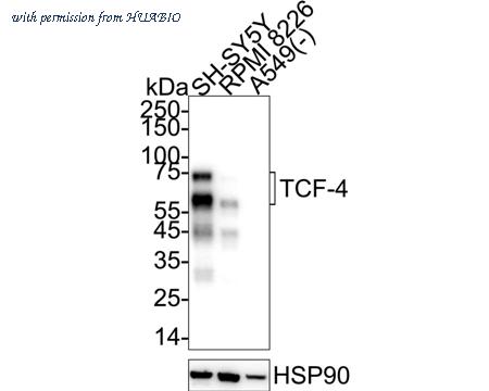 HUABIO HA723723 image 1