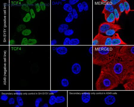 HUABIO HA723723 image 3