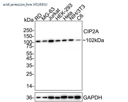 HUABIO HA723817 image 1