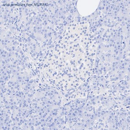 HUABIO HA723826 image 3