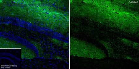 HUABIO HA723915 image 1