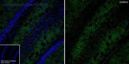 HUABIO HA723915 image 2