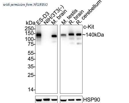 HUABIO HA723961 image 1