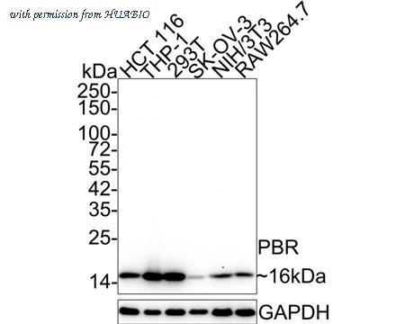 HUABIO HA750010 image 1