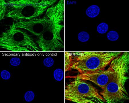 HUABIO HA750100 image 2