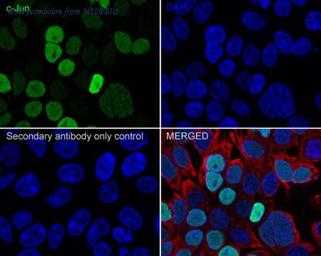 HUABIO HA750143 image 2