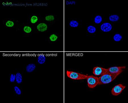 HUABIO HA750143 image 3