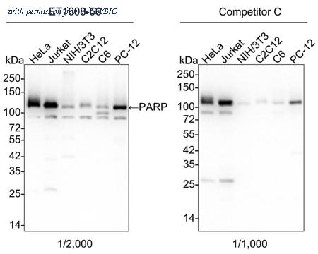 HUABIO HA750154 image 1