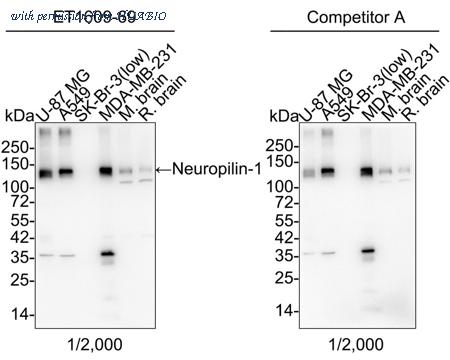 HUABIO HA750189 image 1