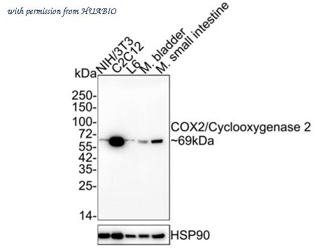 HUABIO HA750207 image 1
