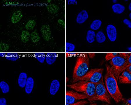 HUABIO HA750221 image 3