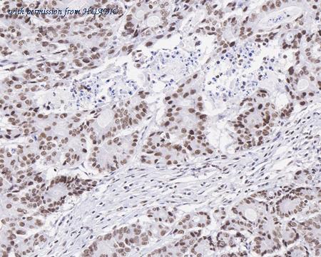 HUABIO HA750292 image 3