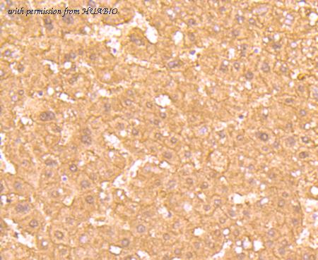 HUABIO HA750435 image 2