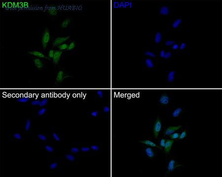 HUABIO HA750509 image 2