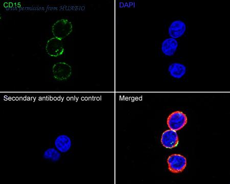 HUABIO HA750565 image 3