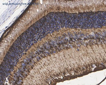 HUABIO HA750653 image 3