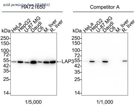 HUABIO HA750704 image 1