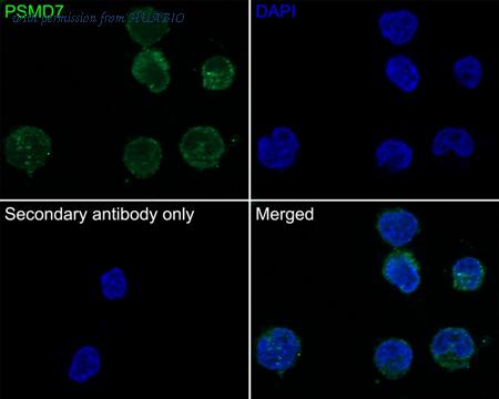 HUABIO HA750757 image 3