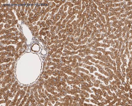 HUABIO HA750812 image 3