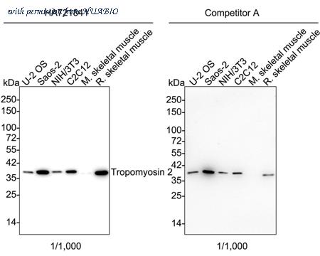 HUABIO HA750820 image 1