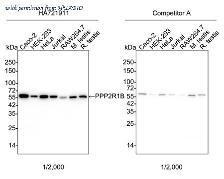 HUABIO HA750847 image 1