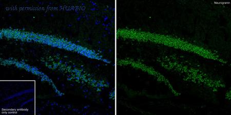 HUABIO HA750851 image 1