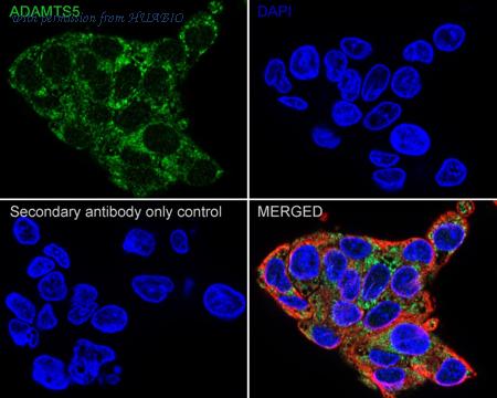 HUABIO HA750886 image 2